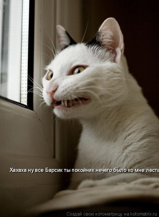 Хахаха ну все Барсик ты покойник нечего было ко мне лесть!... Котоматрица: Хахаха ну все Барсик ты покойник нечего было ко мне лесть!