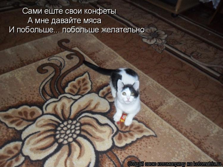 Сами еште свои конфеты А мне давайте мяса И побольше... побольше желательно... Котоматрица: Сами еште свои конфеты А мне давайте мяса И побольше... побольше желательно