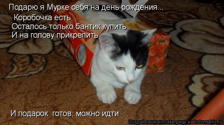 Подарю я Мурке себя на день рождения... Коробочка есть Осталось только бантик купить И на голову при... Котоматрица: Подарю я Мурке себя на день рождения... Коробочка есть Осталось только бантик купить И на голову прикрепить И подарок готов, можно идти