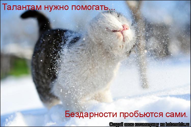 Талантам нужно помогать... Бездарности пробьются сами.... Котоматрица: Талантам нужно помогать... Бездарности пробьются сами.