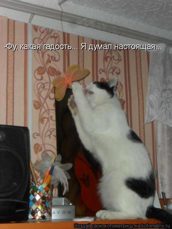 -Фу, какая гадость... Я думал настоящая...... Котоматрица: -Фу, какая гадость... Я думал настоящая...