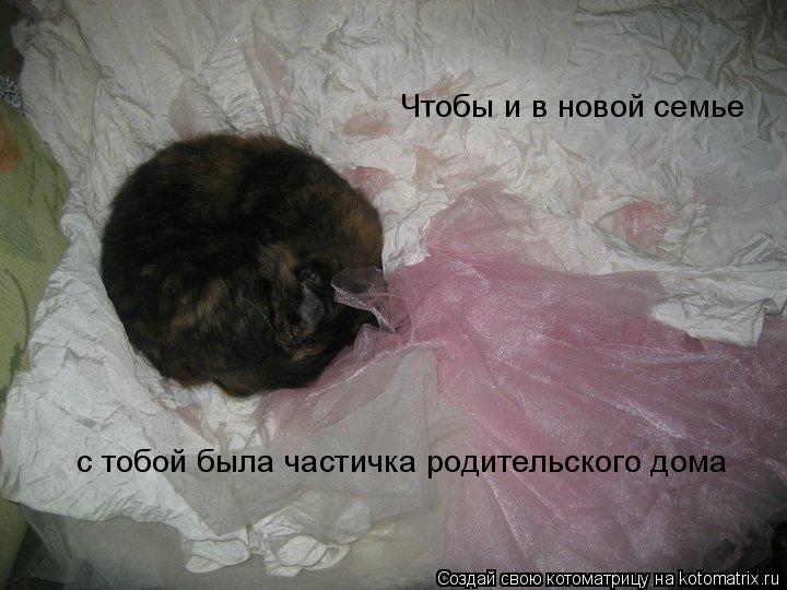 Чтобы и в новой семье с тобой была частичка родительского дома... Котоматрица: Чтобы и в новой семье с тобой была частичка родительского дома
