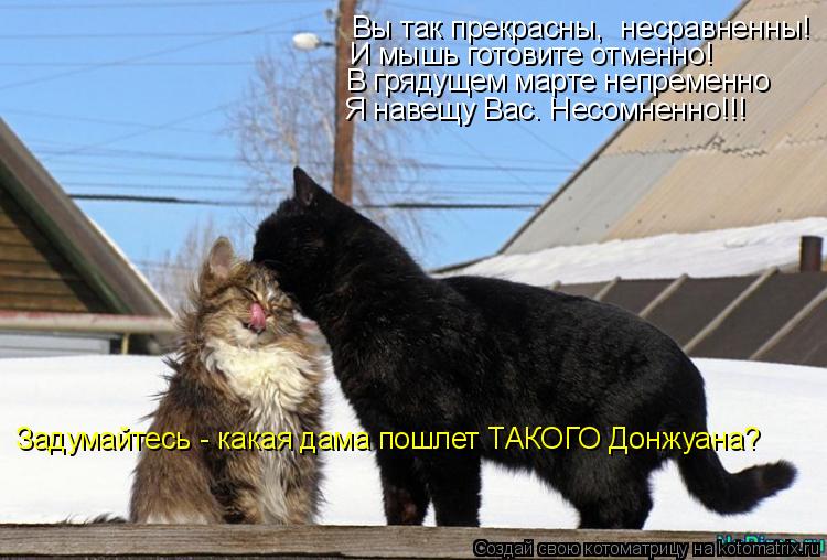 Котоматрица: Вы так прекрасны,  несравненны! И мышь готовите отменно! В грядущем марте непременно Я навещу Вас. Несомненно!!! Задумайтесь - какая дама пошл