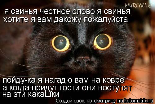 я свинья честное слово я свинья хотите я вам дакожу пожалуйста пойду-ка я нагадю вам на ковре а когда... Котоматрица: я свинья честное слово я свинья хотите я вам дакожу пожалуйста пойду-ка я нагадю вам на ковре а когда придут гости они ноступят на эти какаш