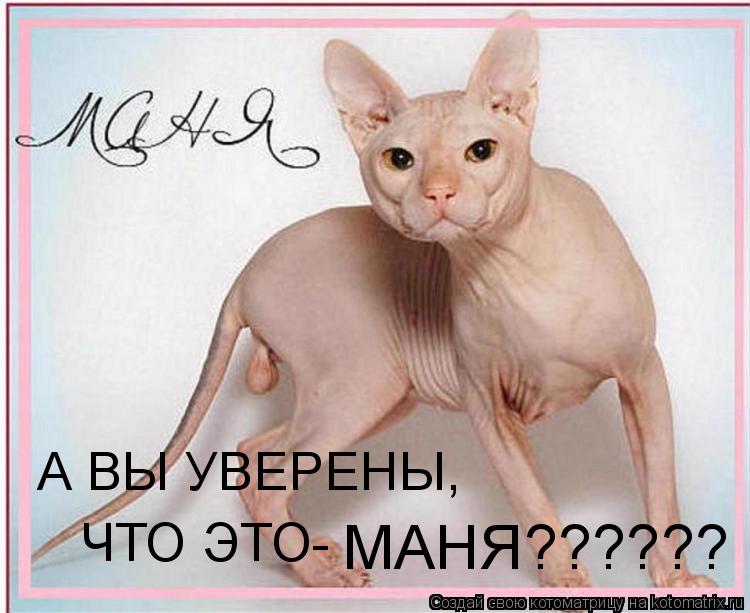 А ВЫ УВЕРЕНЫ, ЧТО ЭТО- МАНЯ??????... Котоматрица: А ВЫ УВЕРЕНЫ, ЧТО ЭТО- МАНЯ??????