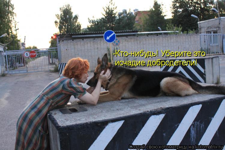 -Кто-нибудь! Уберите это исчадие добродетели!... Котоматрица: -Кто-нибудь! Уберите это исчадие добродетели!