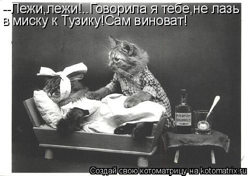 --Лежи,лежи!..Говорила я тебе,не лазь в миску к Тузику!Сам виноват!... Котоматрица: --Лежи,лежи!..Говорила я тебе,не лазь в миску к Тузику!Сам виноват!