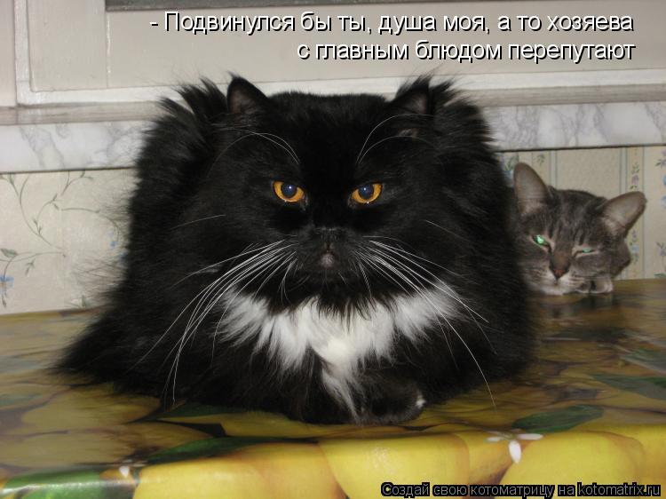 - Подвинулся бы ты, душа моя, а то хозяева с главным блюдом перепутают - Подвинулся бы ты, душа моя, ... Котоматрица: - Подвинулся бы ты, душа моя, а то хозяева с главным блюдом перепутают - Подвинулся бы ты, душа моя, а то хозяева с главным блюдом перепутают