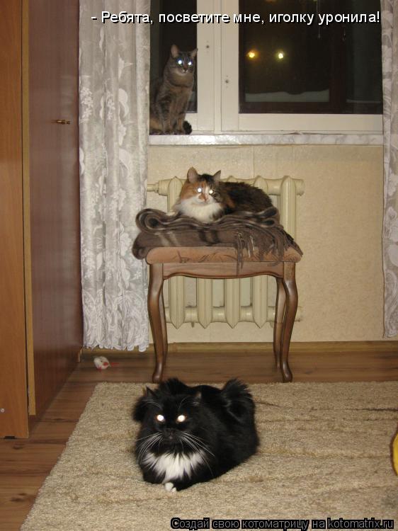- Ребята, посветите мне, иголку уронила!... Котоматрица: - Ребята, посветите мне, иголку уронила!