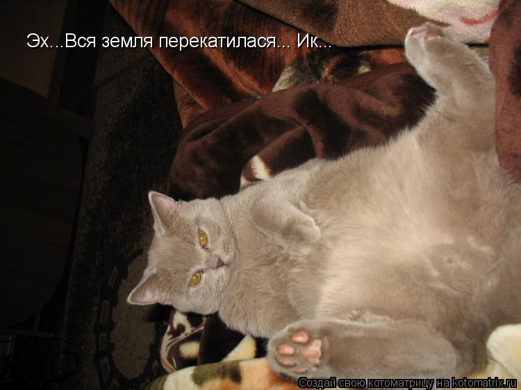 Эх...Вся земля перекатилася... Ик...... Котоматрица: Эх...Вся земля перекатилася... Ик...