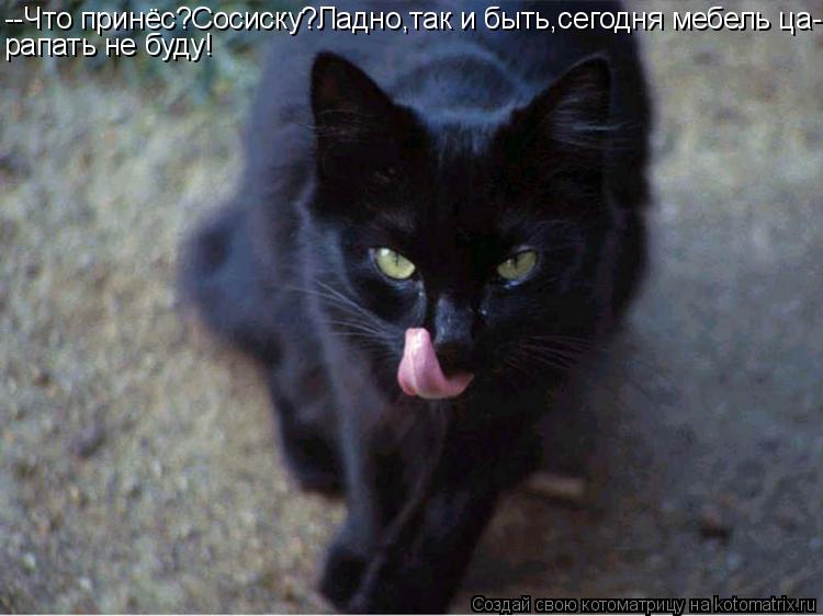 Котоматрица: --Что принёс?Сосиску?Ладно,так и быть,сегодня мебель ца- рапать не буду!