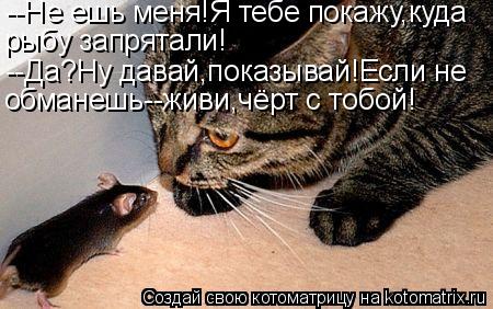 Котоматрица: --Не ешь меня!Я тебе покажу,куда рыбу запрятали! --Да?Ну давай,показывай!Если не обманешь--живи,чёрт с тобой!