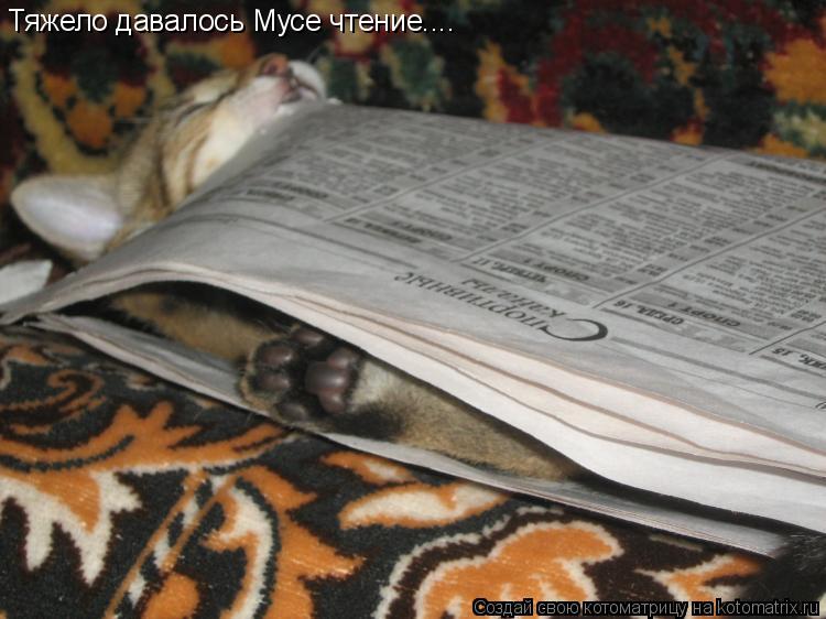 Котоматрица: Тяжело давалось Мусе чтение....