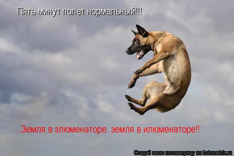 Котоматрица: Пять минут полет нормальный!!! ..Земля в элюменаторе..земля в илюменаторе!!