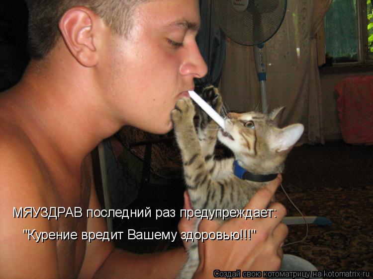Котоматрица: МЯУЗДРАВ последний раз предупреждает: "Курение вредит Вашему здоровью!!!"