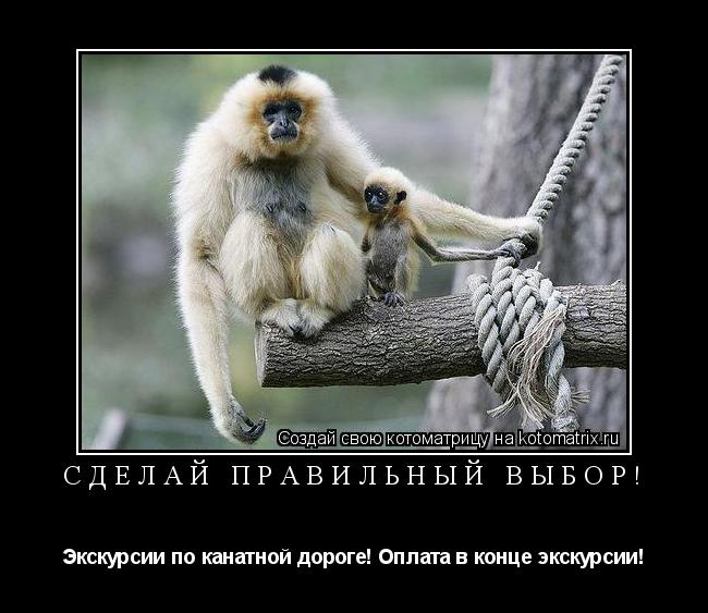 Сделай правильный выбор! Экскурсии по канатной дороге! Оплата в конце экскурсии!... Котоматрица: Сделай правильный выбор! Экскурсии по канатной дороге! Оплата в конце экскурсии!