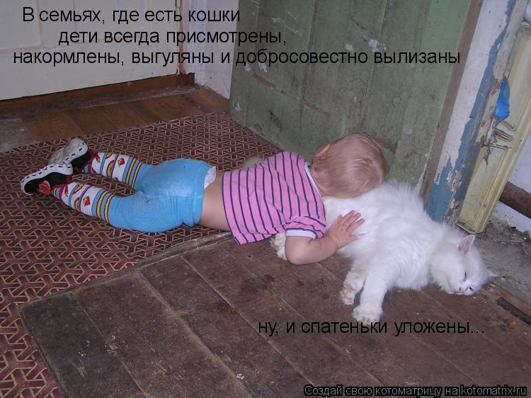 В семьях, где есть кошки дети всегда присмотрены, накормлены, выгуляны и добросовестно вылизаны ну, и... Котоматрица: В семьях, где есть кошки дети всегда присмотрены, накормлены, выгуляны и добросовестно вылизаны ну, и спатеньки уложены...