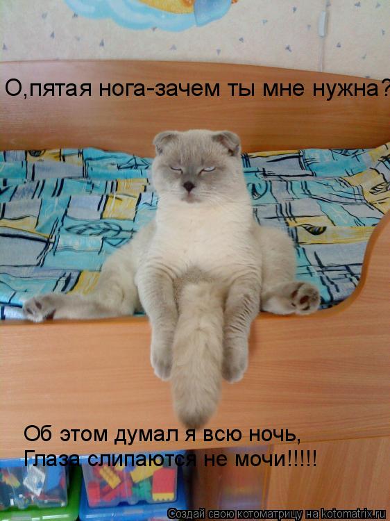 Котоматрица: О,пятая нога-зачем ты мне нужна? Об этом думал я всю ночь, Глаза слипаются не мочи!!!!!