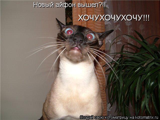 Котоматрица: Новый айфон вышел?!!  ХОЧУХОЧУХОЧУ!!!