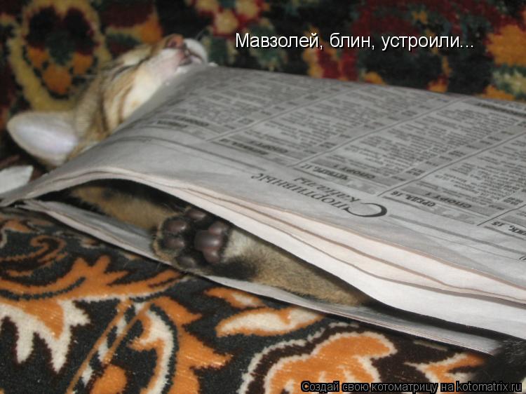 Мавзолей, блин, устроили...... Котоматрица: Мавзолей, блин, устроили...