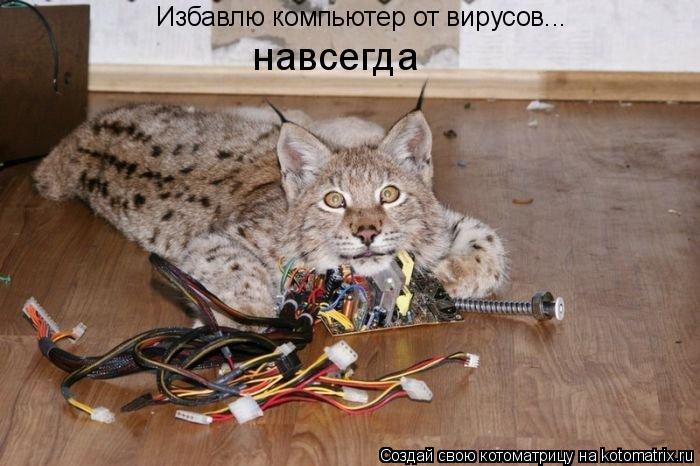Котоматрица: Избавлю компьютер от вирусов... навсегда