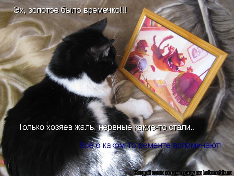 Котоматрица: Эх, золотое было времечко!!! Только хозяев жаль, нервные какие-то стали.. Всё о каком-то ременте вспоминают! Эх, золотое было времечко!!!