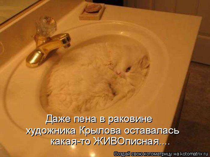 какая-то ЖИВОписная.... Даже пена в раковине художника Крылова оставалась... Котоматрица: какая-то ЖИВОписная.... Даже пена в раковине художника Крылова оставалась