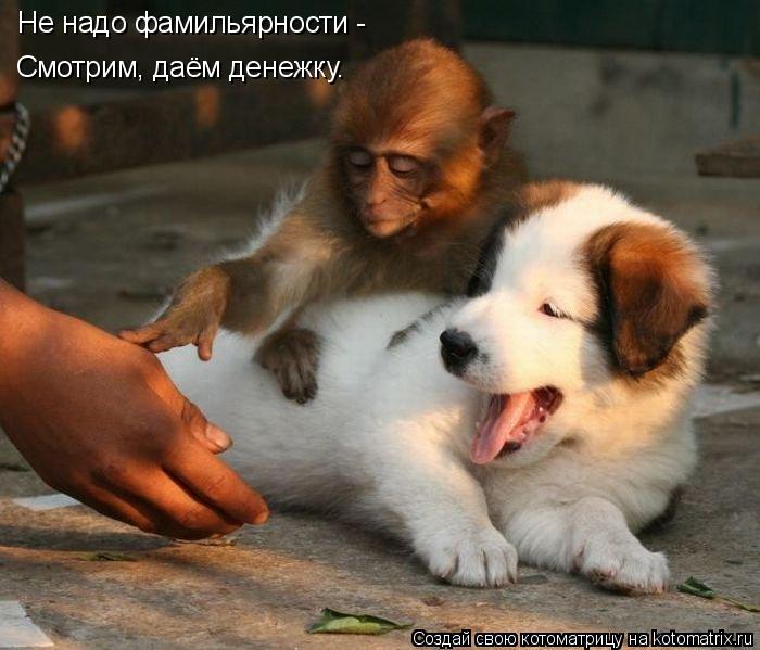 Не надо фамильярности - Смотрим, даём денежку.... Котоматрица: Не надо фамильярности - Смотрим, даём денежку.