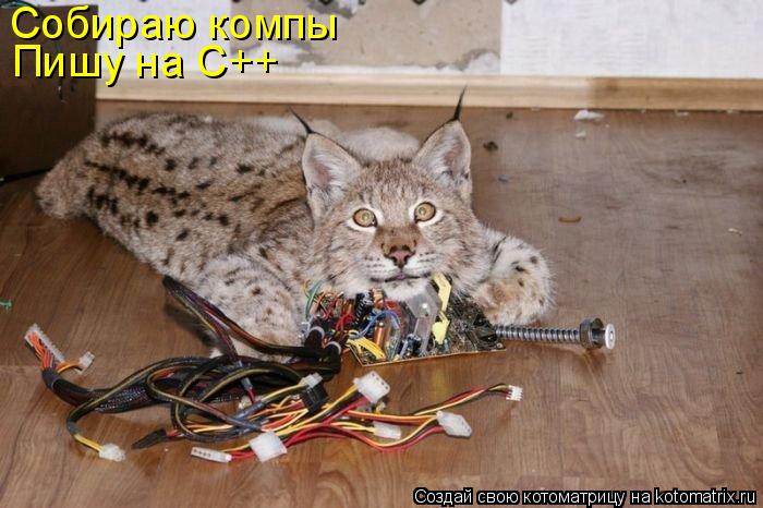 Собираю компы Пишу на С++... Котоматрица: Собираю компы Пишу на С++