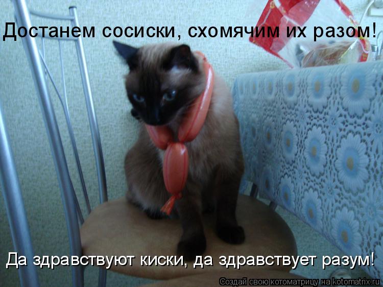 Достанем сосиски, схомячим их разом! Да здравствуют киски, да здравствует разум!... Котоматрица: Достанем сосиски, схомячим их разом! Да здравствуют киски, да здравствует разум!