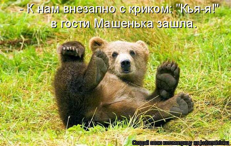 - К нам внезапно с криком: "Кья-я!" в гости Машенька зашла.... Котоматрица: - К нам внезапно с криком: "Кья-я!" в гости Машенька зашла.