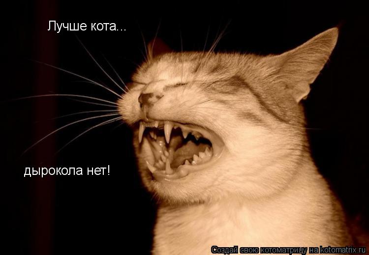 Лучше кота... дырокола нет!... Котоматрица: Лучше кота... дырокола нет!
