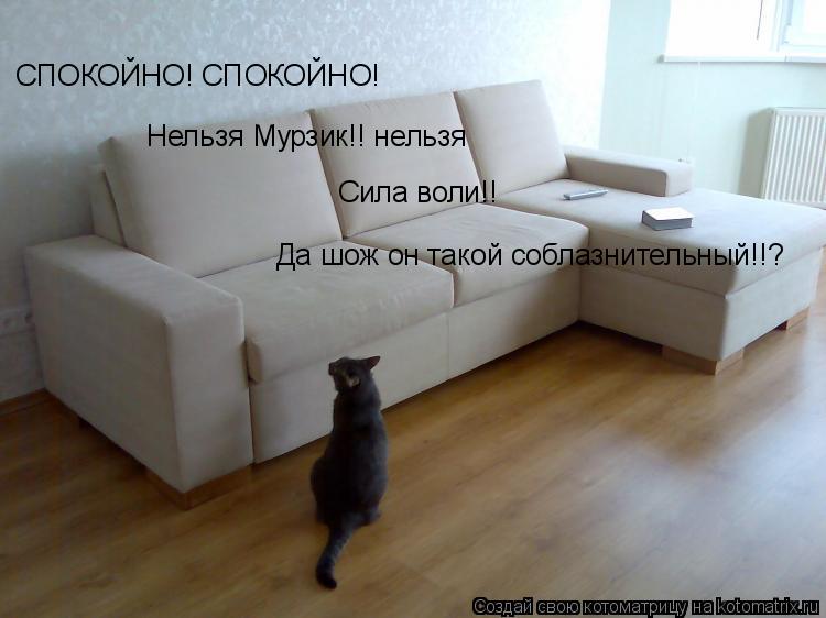 Котоматрица: Нельзя Мурзик!! нельзя СПОКОЙНО! СПОКОЙНО! Сила воли!! Да шож он такой соблазнительный!!?