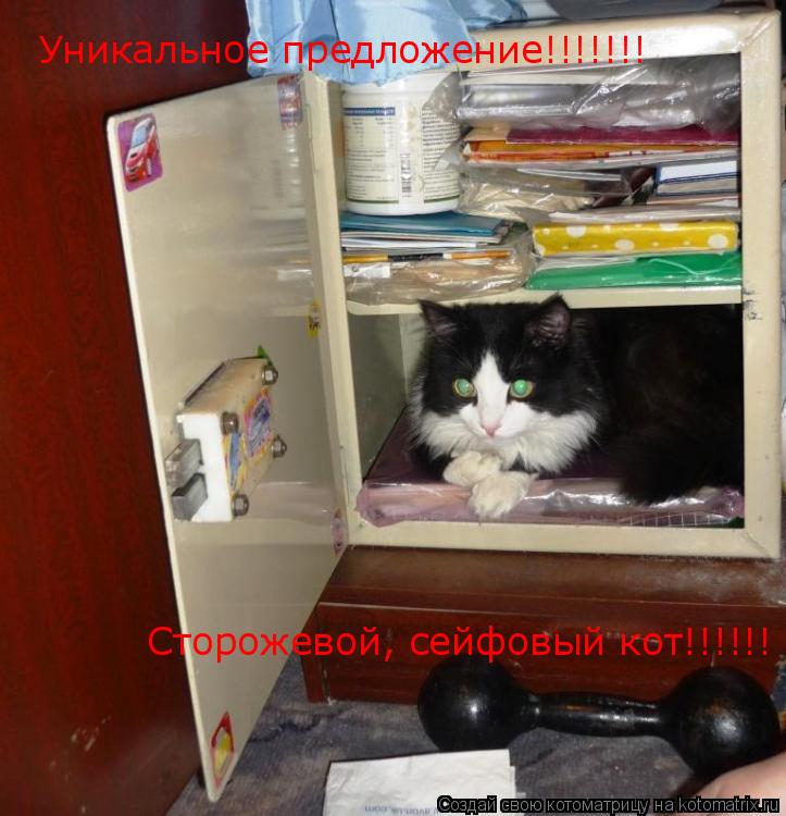 Котоматрица: Уникальное предложение!!!!!!!  Сторожевой, сейфовый кот!!!!!!