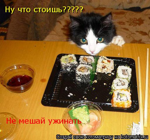 Котоматрица: Ну что стоишь????? Не мешай ужинать