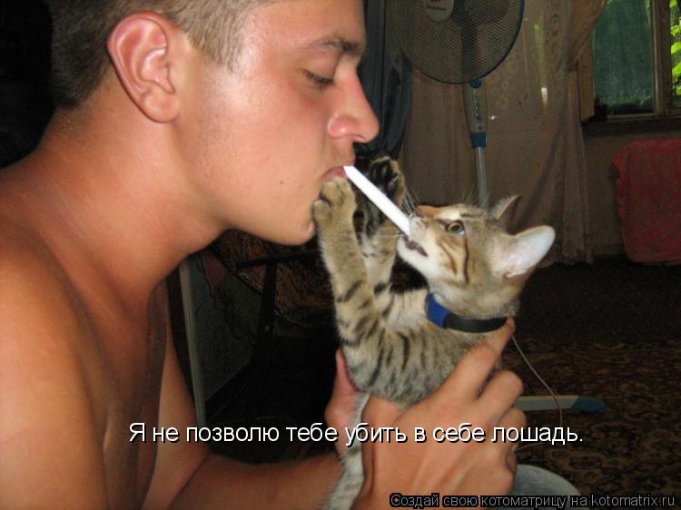 Котоматрица: Я не позволю тебе убить в себе лошадь.