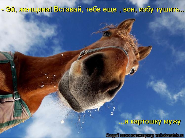 Котоматрица: - Эй, женщина! Вставай, тебе еще , вон, избу тушить... ...и картошку мужу