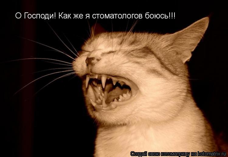 Котоматрица: О Господи! Как же я стоматологов боюсь!!!