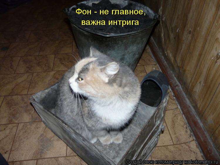 Котоматрица: Фон - не главное, важна интрига