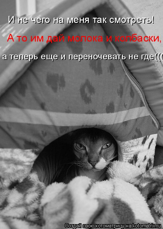Котоматрица: И не чего на меня так смотреть! А то им дай молока и колбаски, а теперь еще и переночевать не где(((