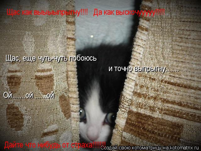 Котоматрица: Щас, еще чуть-чуть побоюсь и точно выпрыгну....... Ой.......ой ......ой Щас как выыыыпрыгну!!!!   Да как выскочууууу!!!!! Дайте что нибудь от страха!!