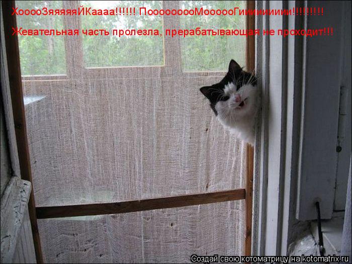 ХооооЗяяяяяЙКаааа!!!!!! ПооооооооМоооооГиииииииии!!!!!!!!! Жевательная часть пролезла, прерабатывающа... Котоматрица: ХооооЗяяяяяЙКаааа!!!!!! ПооооооооМоооооГиииииииии!!!!!!!!! Жевательная часть пролезла, прерабатывающая не проходит!!!