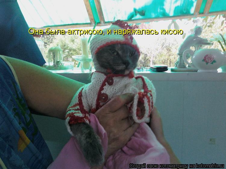 Котоматрица: Она была актрисою, и наряжалась кисою
