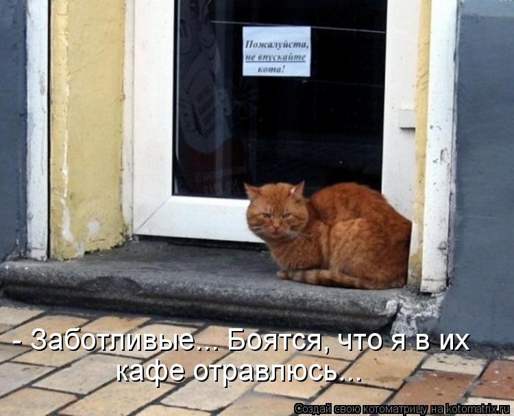 - Заботливые... Боятся, что я в их кафе отравлюсь...... Котоматрица: - Заботливые... Боятся, что я в их кафе отравлюсь...