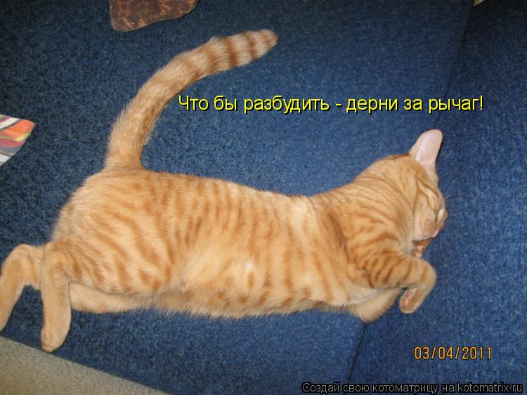 Что бы разбудить - дерни за рычаг!... Котоматрица: Что бы разбудить - дерни за рычаг!