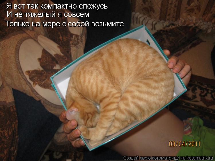 Я вот так компактно сложусь И не тяжелый я совсем Только на море с собой возьмите... Котоматрица: Я вот так компактно сложусь И не тяжелый я совсем Только на море с собой возьмите