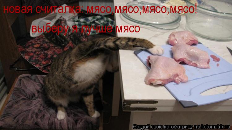 новая считалка: мясо,мясо,мясо,мясо! выберу я лучше мясо новая считалка: мясо,мясо,мясо,мясо! выберу ... Котоматрица: новая считалка: мясо,мясо,мясо,мясо! выберу я лучше мясо новая считалка: мясо,мясо,мясо,мясо! выберу я лучше мясо новая считалка: мясо,мясо,мя