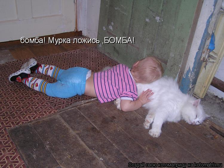 бомба! Мурка ложись ,БОМБА!... Котоматрица: бомба! Мурка ложись ,БОМБА!