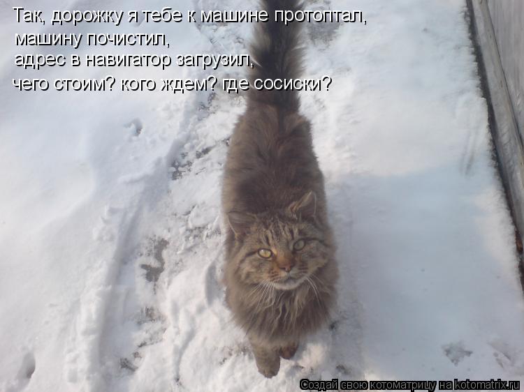 Так, дорожку я тебе к машине протоптал, машину почистил, адрес в навигатор загрузил, чего стоим? кого... Котоматрица: Так, дорожку я тебе к машине протоптал, машину почистил, адрес в навигатор загрузил, чего стоим? кого ждем? где сосиски?