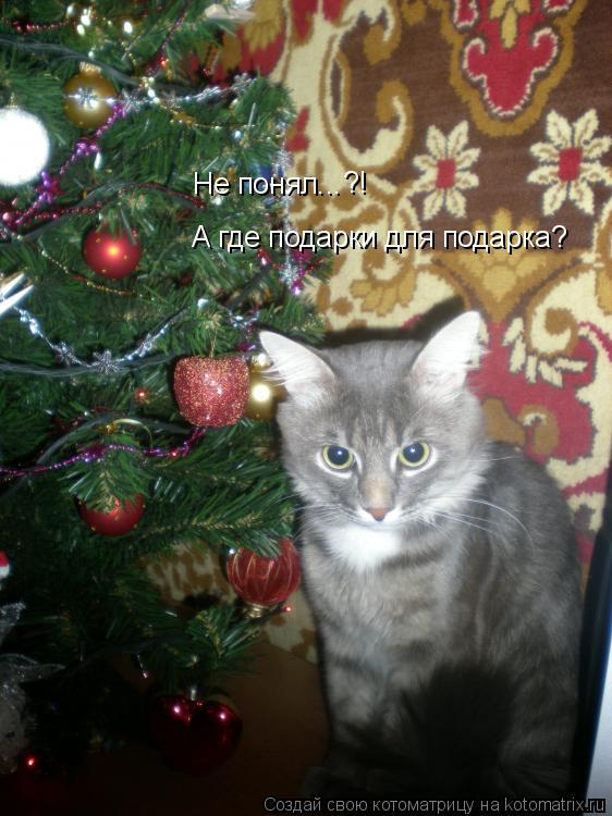 А где подарки для подарка? Не понял... ?!... Котоматрица: А где подарки для подарка? Не понял... ?!